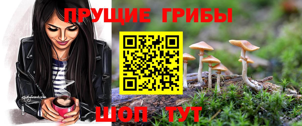 Трёхгорный  Псилоцибиновые грибы Psilocybe  Вход с VPN 